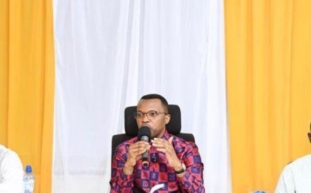 UNIKIN : Plaidoyer pour une loi sur la transformation locale des substances minérales