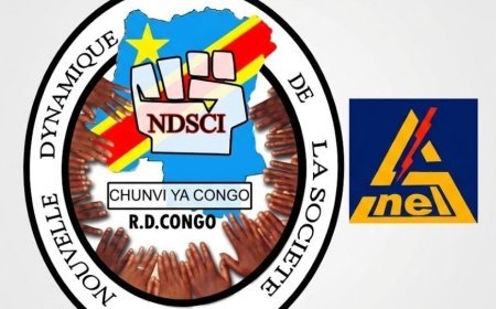 Kisangani : La société civile exige des comptes sur les 9 millions USD de la centrale de la Tshopo