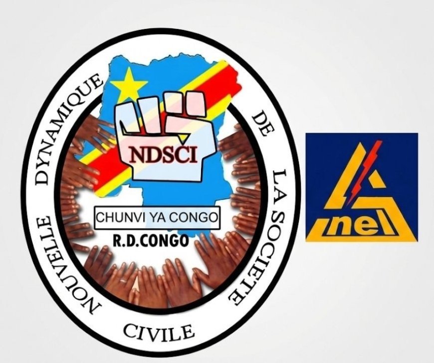 Kisangani : La société civile exige des comptes sur les 9 millions USD de la centrale de la Tshopo