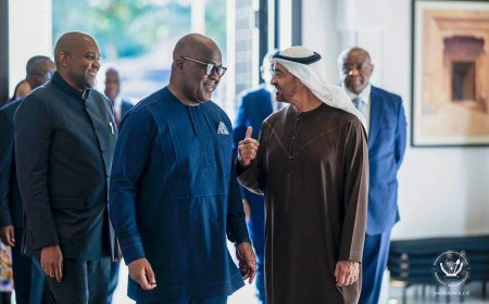 Partenariat économique Kinshasa et Abu Dhabi : Désormais 6000 produits de la RDC seront exportés vers les Emirats Arabes Unis