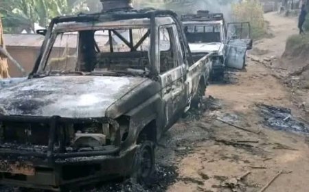 Ituri et Nord-Kivu : Recrudescence des attaques des ADF entre Mamove et l'axe Oicha