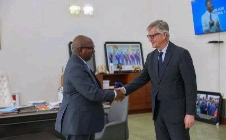 Diplomatie et Défense : La RDC intensifie ses partenariats pour la paix à l'Est