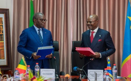 Diplomatie et Défense : La RDC intensifie ses partenariats pour la paix à l'Est