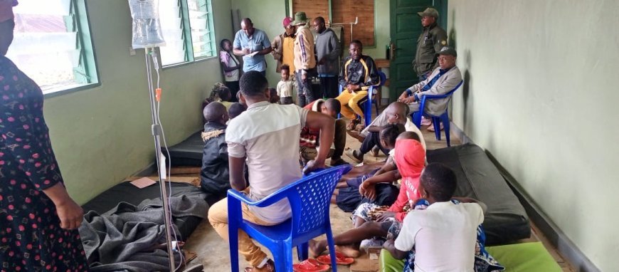 Est de la RDC : au moins cinq morts signalés dans deux embuscades des ADF entre Beni et l'Ituri