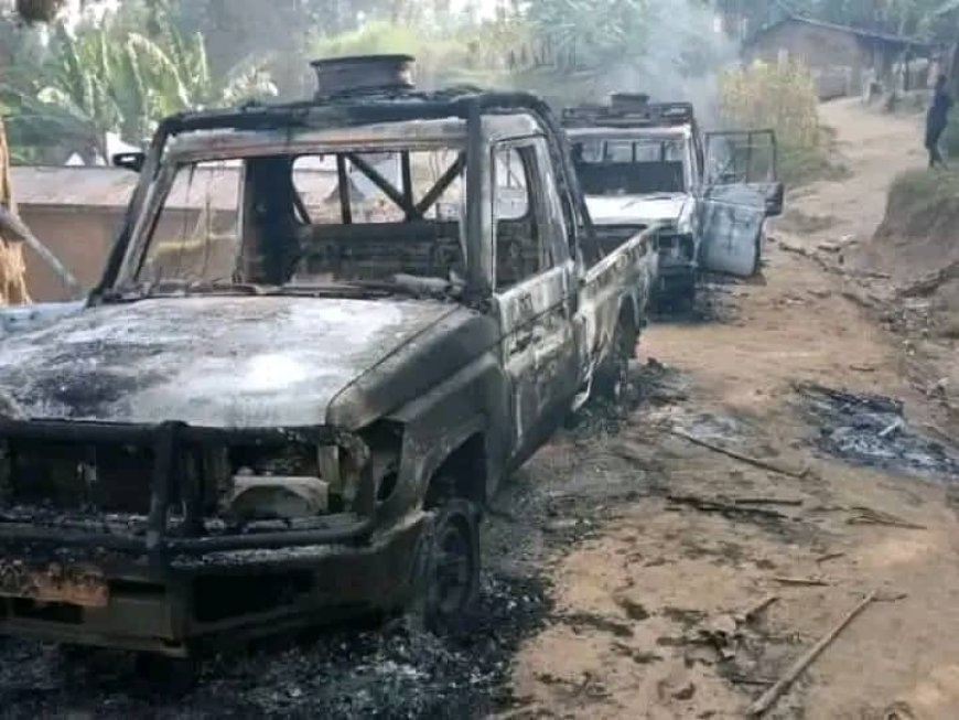 Ituri et Nord-Kivu : Recrudescence des attaques des ADF entre Mamove et l'axe Oicha