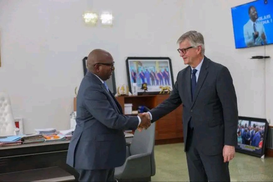 Diplomatie et Défense : La RDC intensifie ses partenariats pour la paix à l'Est