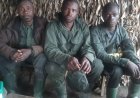 Sud-Kivu: Épuisés par la misère, 3 combattants de la Coalition RDF-M23/RDF, avec leurs munitions se rendent aux FARDC
