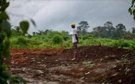 Nord-Kivu : un homme assassiné dans son champ à Luotu