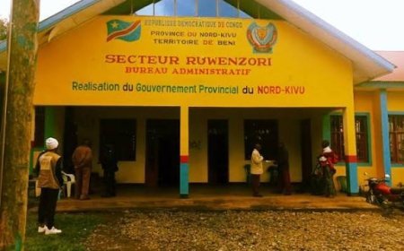 Ruwenzori : la SOCICO dénonce des tracasseries militaires dans le groupement Bolema