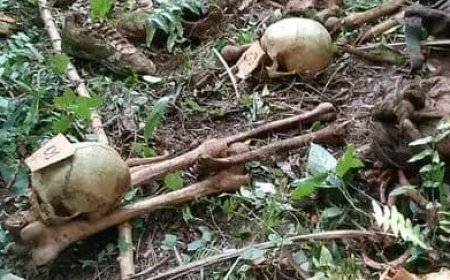 Bini-Mbau: Des ossements d'homme porté disparu lors d'incursions rebelles ADF retrouvés