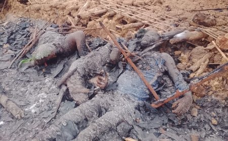 Ituri: 11 civils tués dans une attaque menée par les ADF