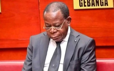 RDC: Bahati Lukwebo désavoué par les élus du groupe parlementaire AFDC/A, son propre groupe