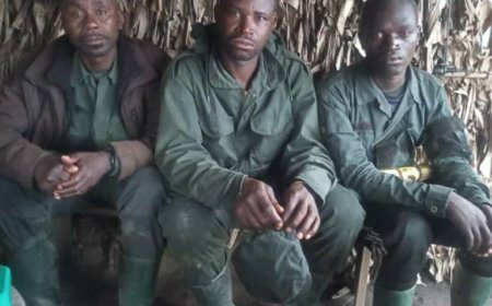 Sud-Kivu: Épuisés par la misère, 3 combattants de la Coalition RDF-M23/RDF, avec leurs munitions se rendent aux FARDC