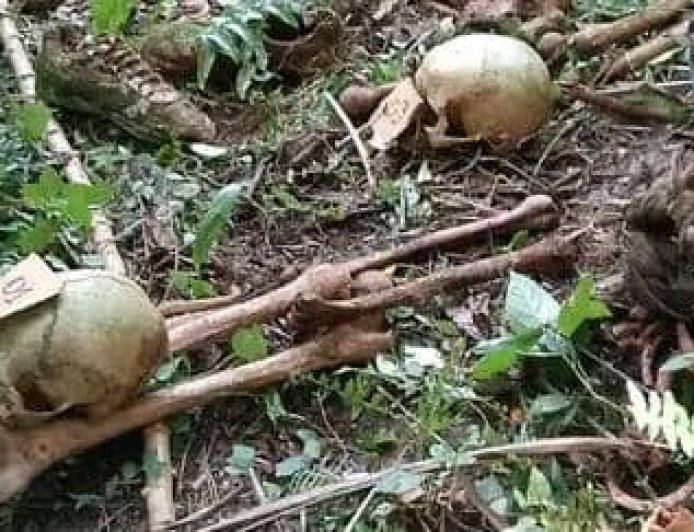 Bini-Mbau: Des ossements d'homme porté disparu lors d'incursions rebelles ADF retrouvés