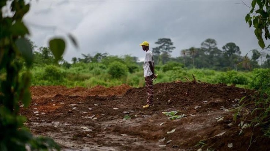 Nord-Kivu : un homme assassiné dans son champ à Luotu