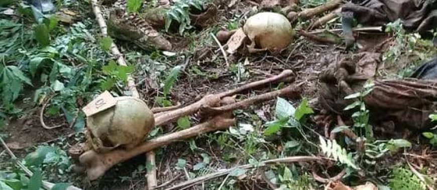Bini-Mbau: Des ossements d'homme porté disparu lors d'incursions rebelles ADF retrouvés
