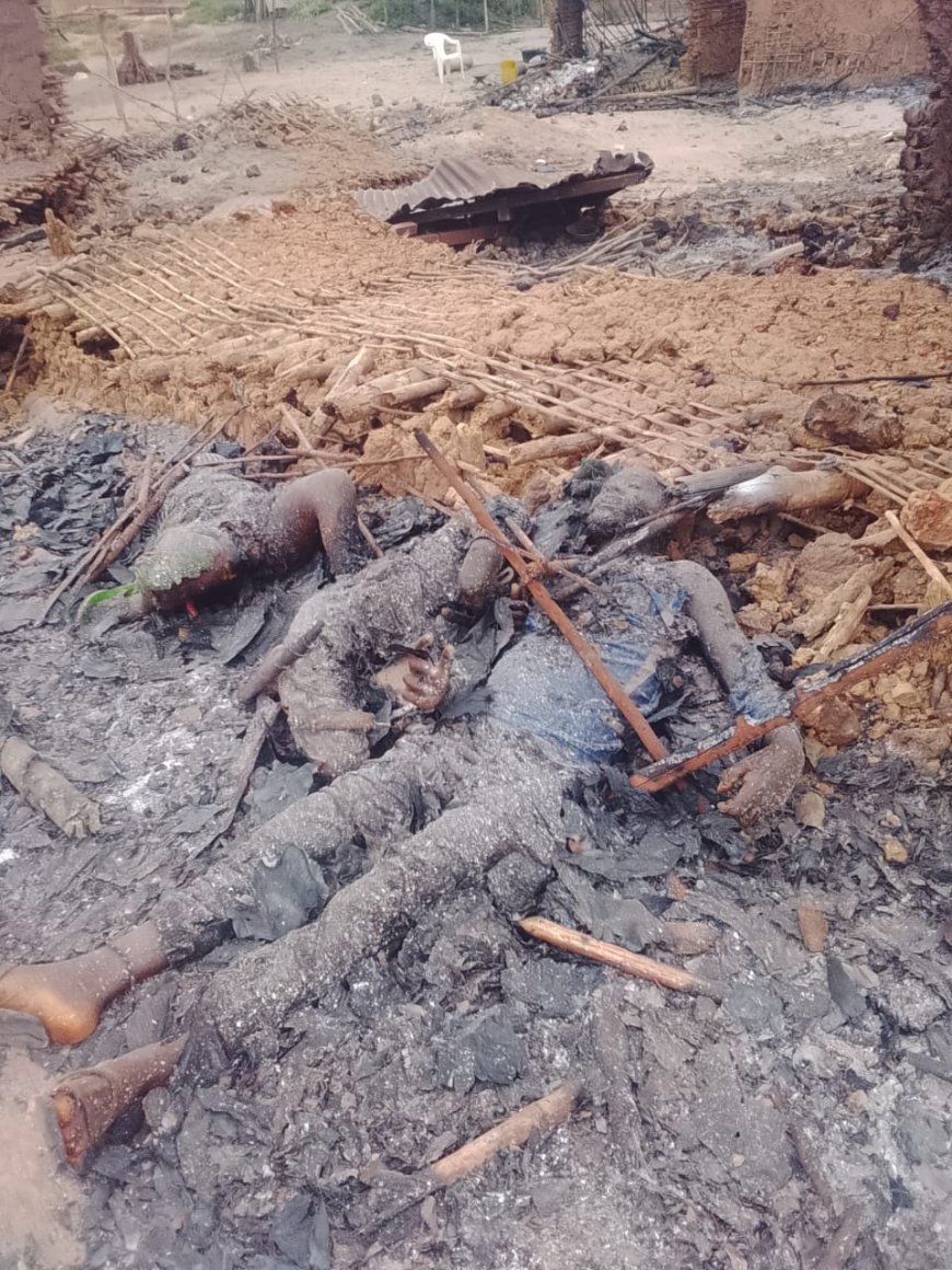 Ituri: 11 civils tués dans une attaque menée par les ADF