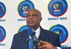 RDC :  Norbert Basengezi élu deuxième vice-président du Sénat 