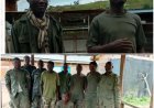 Sud-Kivu : 11 combattants AFC-M23/RDF se rendent aux FARDC  sur l’axe Bunyakiri