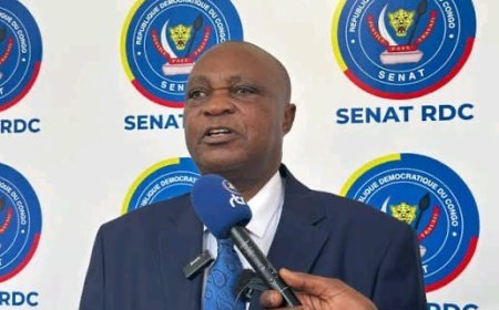 RDC :  Norbert Basengezi élu deuxième vice-président du Sénat 
