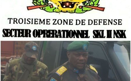 Sud-Kivu : Plusieurs attaques AFC-M23/RDF contre les civils déjouées par les FARDC