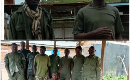 Sud-Kivu : 11 combattants AFC-M23/RDF se rendent aux FARDC  sur l’axe Bunyakiri