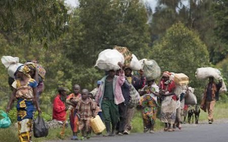 Kisangani : Plus de 4 380 déplacés de Mambasa enregistrés face à l'urgence humanitaire