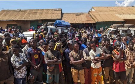 Ituri : Plus de 400 ex-combattants prêts pour la réinsertion socio-économique