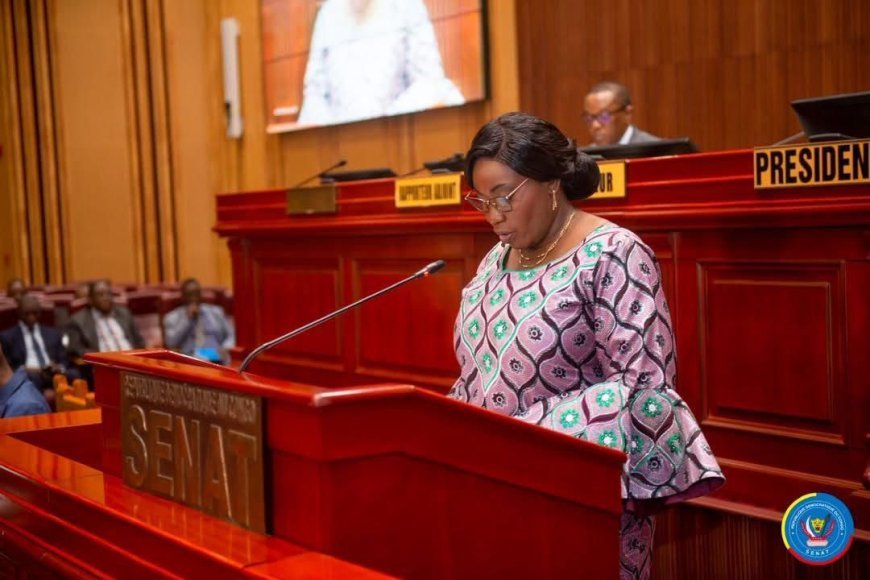 RDC : le 2e Vice-président du Sénat sera installé ce vendredi