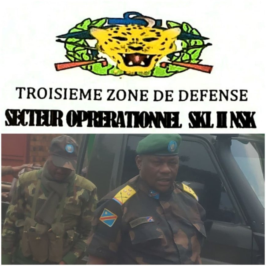 Sud-Kivu : Plusieurs attaques AFC-M23/RDF contre les civils déjouées par les FARDC