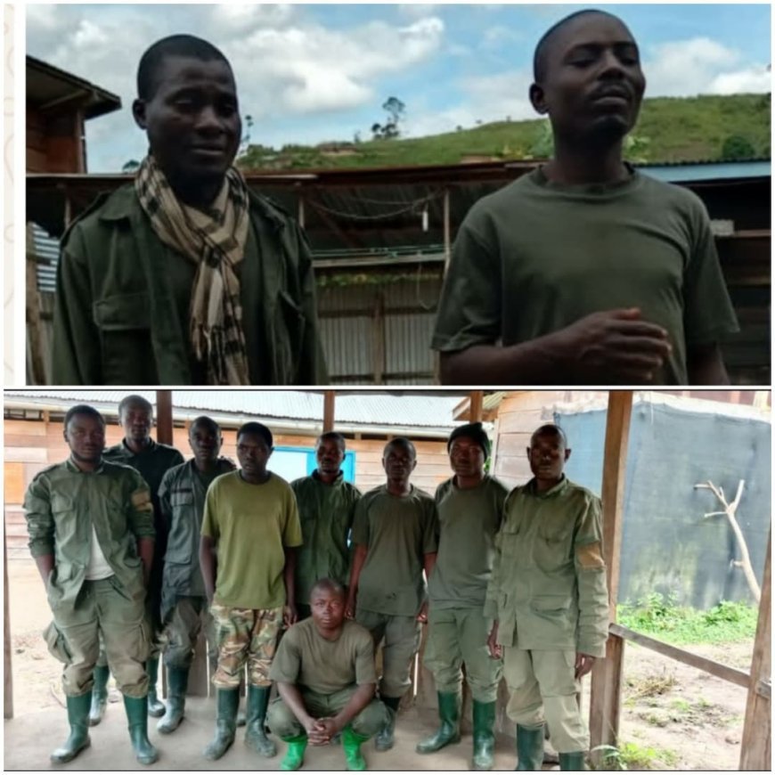 Sud-Kivu : 11 combattants AFC-M23/RDF se rendent aux FARDC  sur l’axe Bunyakiri