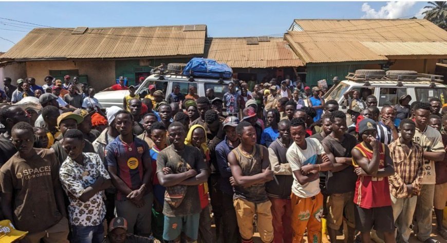 Ituri : Plus de 400 ex-combattants prêts pour la réinsertion socio-économique