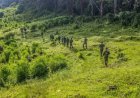 Sud-Kivu : la coalition RDF/AFC-M23 bombarde Minembwe, plusieurs civils tués