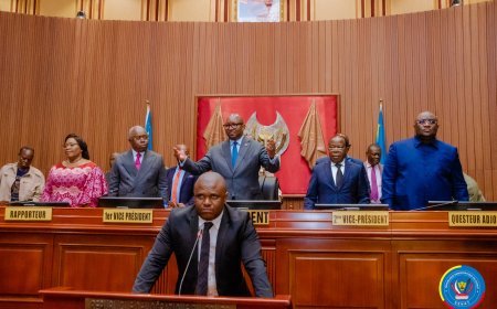 RDC : Devant le Sénat, le CAMI présente ses performances et confirme la récupération de 50 000 km² de périmètres miniers