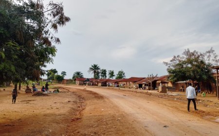 Ituri : Les FARDC neutralisent 6 ADF sur la RN4