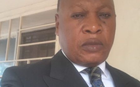 Le Franc Congolais est-il condamné à mort ? Le réquisitoire d'Aimé Lambala contre le piège de la dollarisation. (Tribune)
