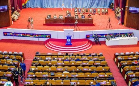 RDC : Le député Antoine Bushabu interpelle la Justice sur la perte des parts de l'État dans la société PHC SA