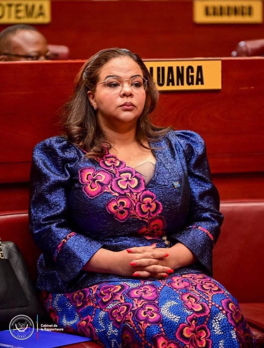 RDC/Sénat : Les accords de Washington sous la loupe de la Commission Mixte
