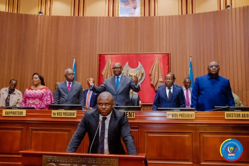 RDC : Devant le Sénat, le CAMI présente ses performances et confirme la récupération de 50 000 km² de périmètres miniers