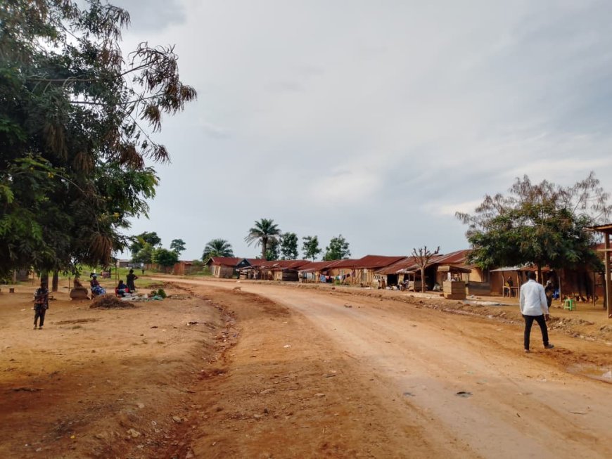 Ituri : Les FARDC neutralisent 6 ADF sur la RN4