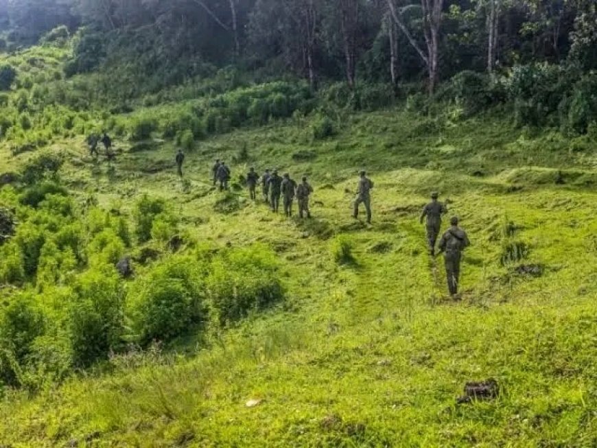 Sud-Kivu : la coalition RDF/AFC-M23 bombarde Minembwe, plusieurs civils tués
