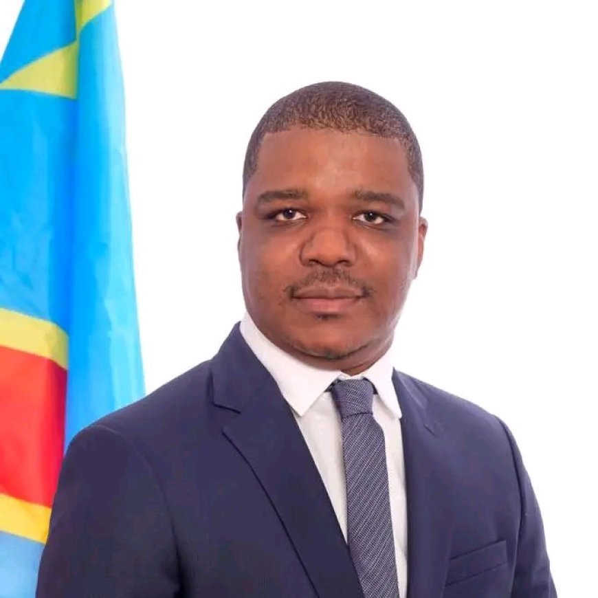 Désinformation numérique : Ted Beleshayi dément toute ambition à la tête de l’IGF