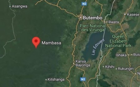 Ituri : Deux morts et quatre personnes enlevées dans une nouvelle attaque des ADF à Mambasa