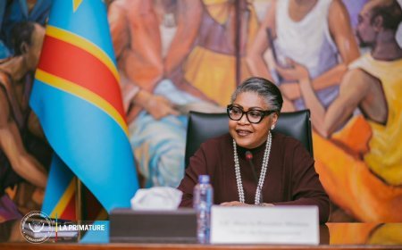 Riposte contre Ebola : le gouvernement débloque 50 millions USD