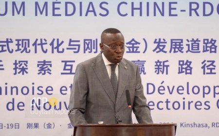 Sécurité alimentaire : la RDC mise sur le riz de la Mongala pour doper sa souveraineté alimentaire