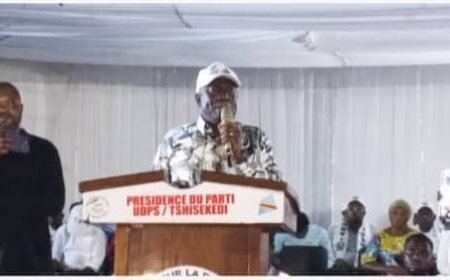 Changement constitutionnel en RDC: N’Shole sans foyer, sans voix, Kabuya lui retire le peuple