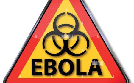 Riposte contre Ebola : Kinshasa intensifie le contrôle des voyageurs pour stopper la propagation du virus