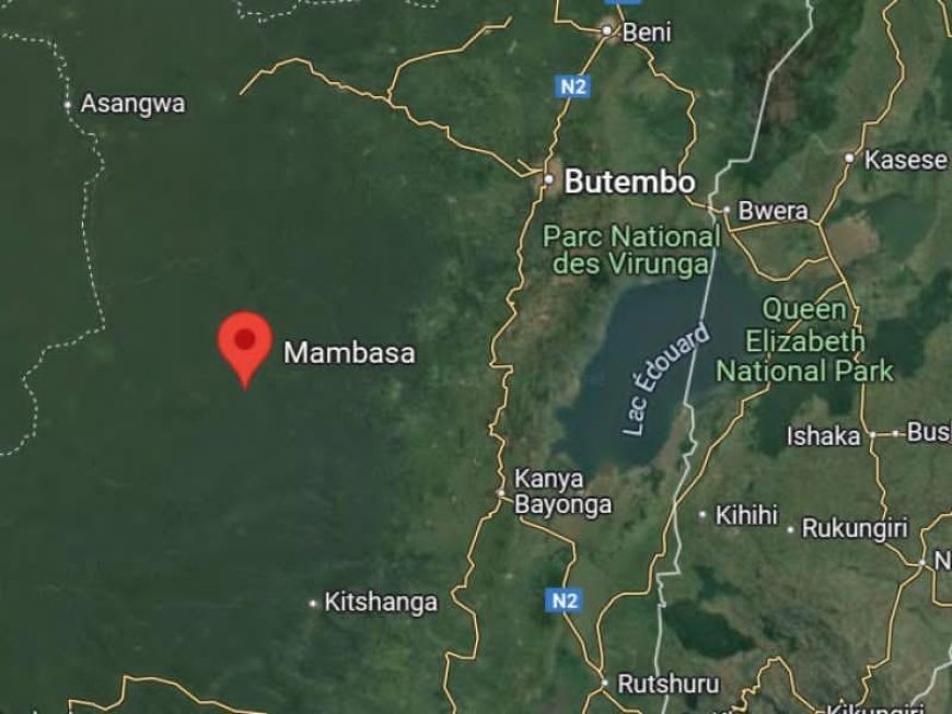 Ituri : Deux morts et quatre personnes enlevées dans une nouvelle attaque des ADF à Mambasa
