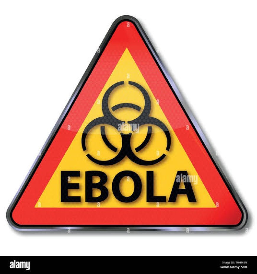 Riposte contre Ebola : Kinshasa intensifie le contrôle des voyageurs pour stopper la propagation du virus