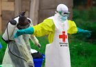 Nord-Kivu : huit nouveaux cas d’Ebola, le bilan grimpe à 245 cas et 157 décès